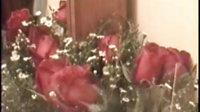 कोई पंजीकरण   अनास्तासिया गुलाब में वायुरोधी, डबल हिंदी सेक्सी बीएफ फुल मूवी प्रवेश के साथ