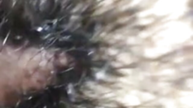 कोई पंजीकरण   इंद्रधनुष जाँघिया सेक्सी फुल एचडी वीडियो मूवी बिग डिक चूत में वीर्य